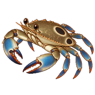 Lady Crab