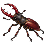 Giant Stag Beetle