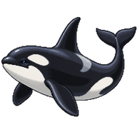 Orca