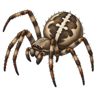 Furrow Orb-Weaver