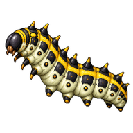Mullein Moth Caterpillar