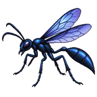 Blue Mud Dauber