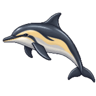 Common Dolphin