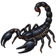 Asian forest scorpion