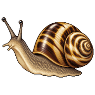 Hemiplecta humphreysiana
