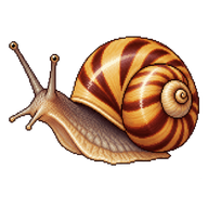Flamed Tigersnail