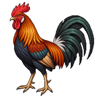 Red Junglefowl