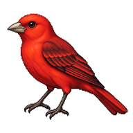 Summer Tanager