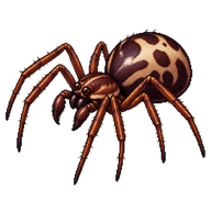 Cobweb weaver