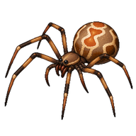 Brown Widow