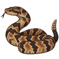 Timber Rattlesnake