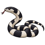 Common Kingsnake