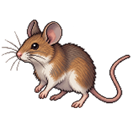 North American Deermouse