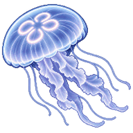 Moon Jelly