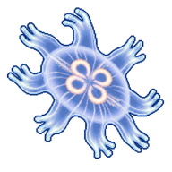 Moon Jelly Ephyra