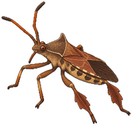 Dock Bug