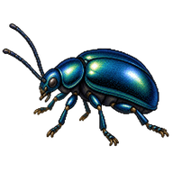 Alder Leaf Beetle