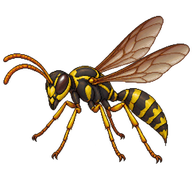 Metric Paper Wasp