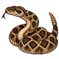 Eastern Diamondback Rattlesnake