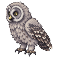 Great Grey Owl Owlet