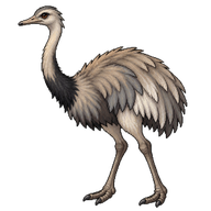 Greater Rhea