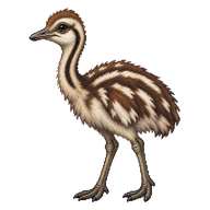 Greater Rhea Chick