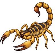Hentz striped scorpion