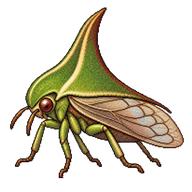 Keeled Treehopper