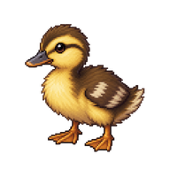 Mallard Duckling