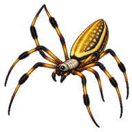 Banana Orbweaver