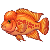 Midas cichlid