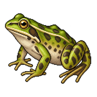 Pool Frog