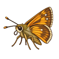 Least Skipper