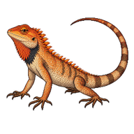 Oriental Garden Lizard