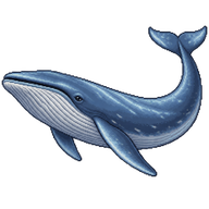 Blue Whale