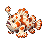 Warty Frogfish Juvenile