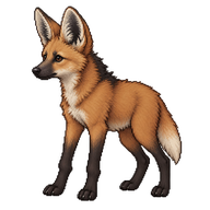 Maned Wolf Pup