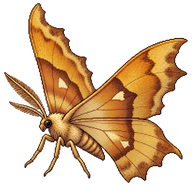Maple Spanworm