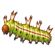 Oval-based Prominent Larva