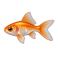 Goldfish Fry