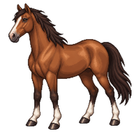 Horse