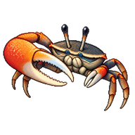 Atlantic Marsh Fiddler Crab