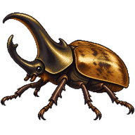 Rhinoceros Beetle