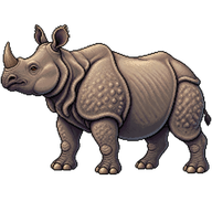 Indian Rhinoceros