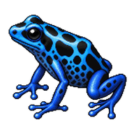 Dyeing Poison Frog