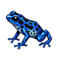 Dyeing Poison Frog Froglet
