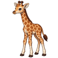 Giraffe Calf