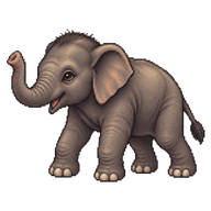 Asian Elephant Calf