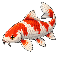Koi