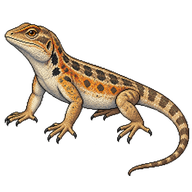 Greater Earless Lizard